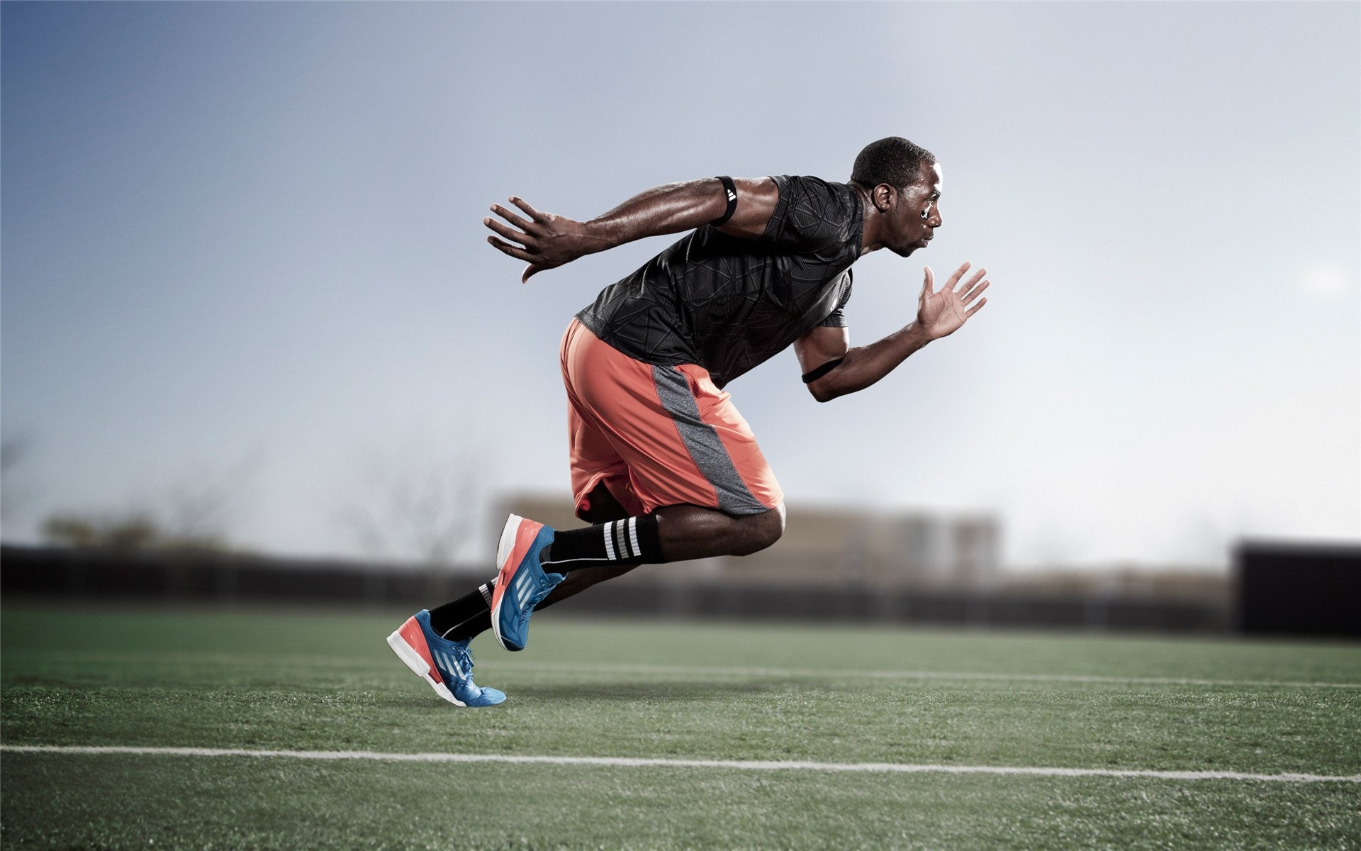 “智能化场馆引领行业变革——5年后棒球比赛将迎来哪些新面貌？”