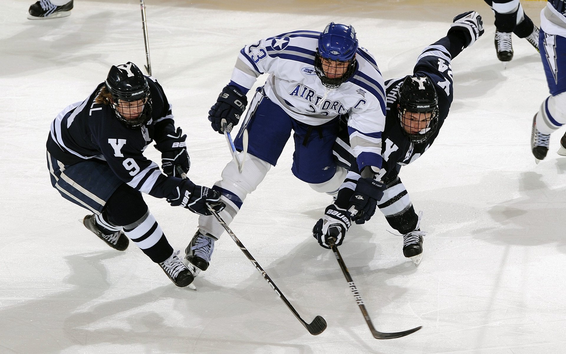 -“青训合作联盟成果显著，青少年潜能不断被挖掘”，青训lya