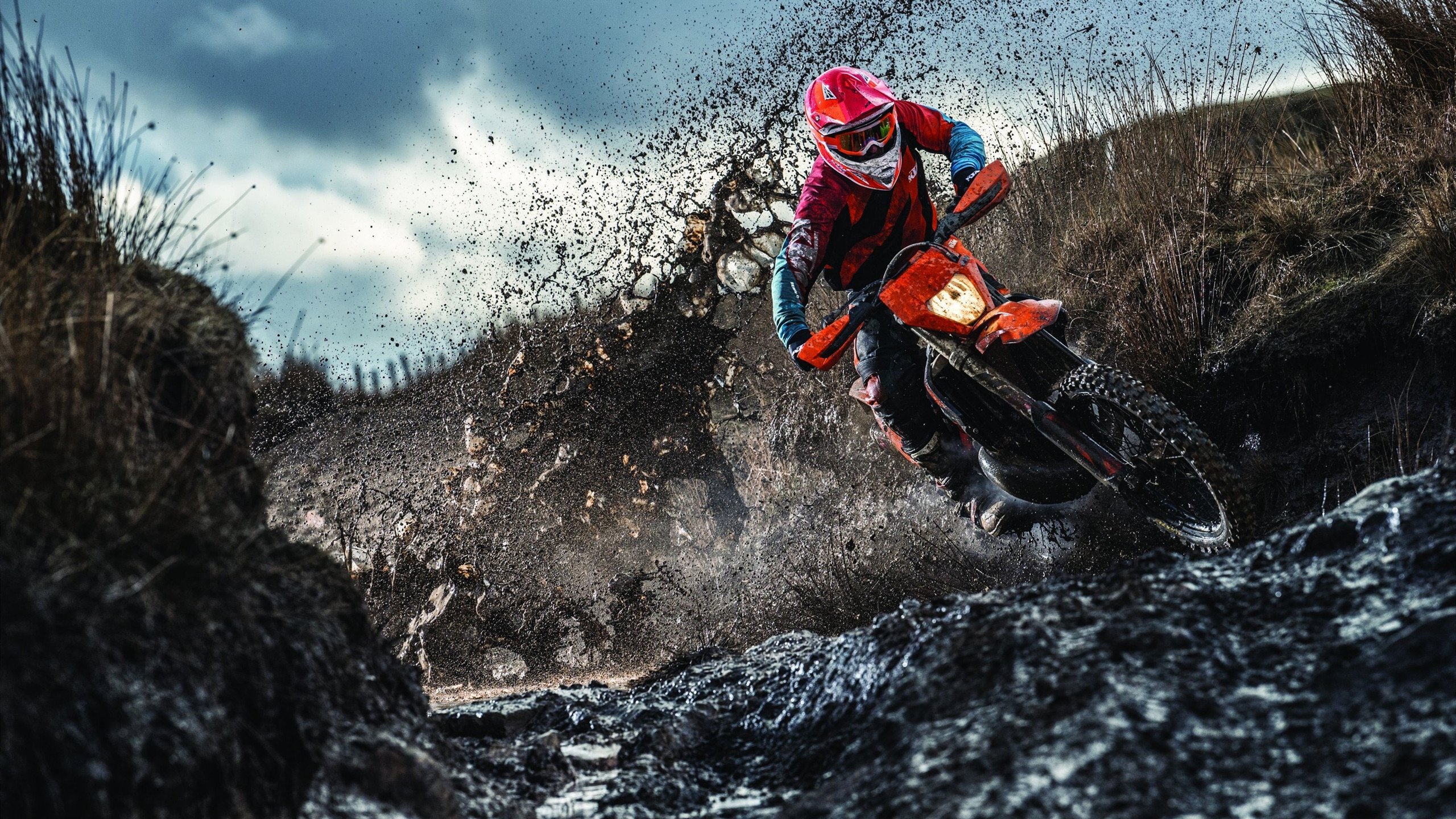 中国队包揽射击世界杯前三,中国射击世界冠军