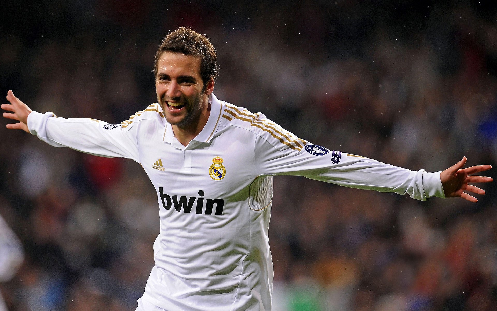 揭秘马术冠军背后的训练艰辛，马术冠军成就攻略