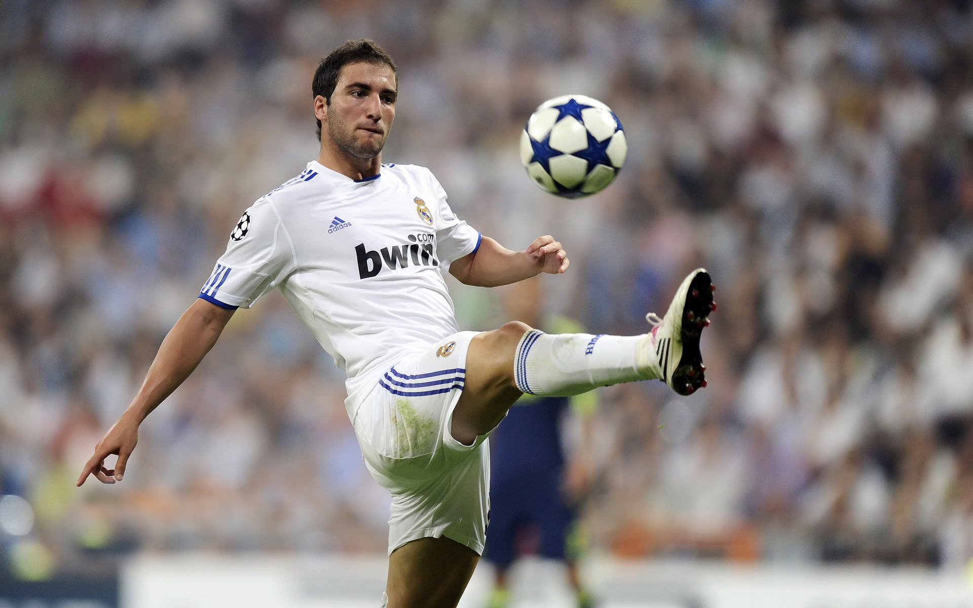 五大联赛球迷热情是否能成为主场胜率决定因素,五大联赛良心球队