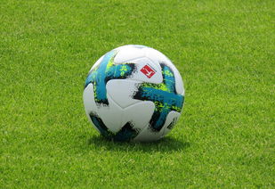 爱游戏全站app注册-德甲防守战术转变对定位球防守效果的影响分析，德国足球防守大师