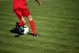 爱游戏app-篮球运动员心理韧性培养与干预体系，篮球运动员的心理选材